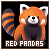Red Pandas
